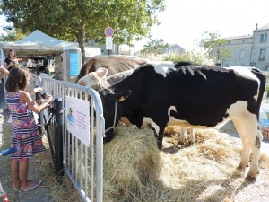 bon gout d'aquitaine 1