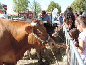 bon gout d'aquitaine 2